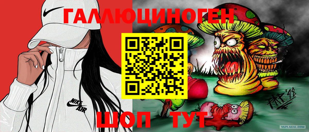 Галлюциногенные грибы Psilocybine cubensis Благодарный